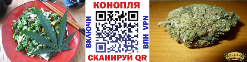 Купить где  Ишим  Cannafood конопля 