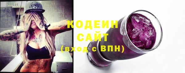 гидра Гусев