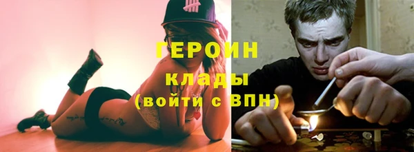гидра Гусев
