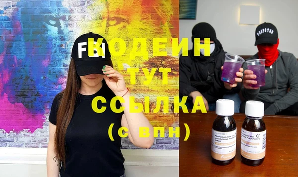гидра Гусев