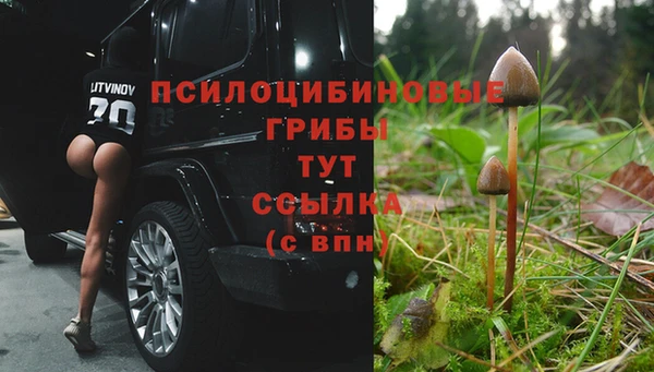 альфа пвп Гусиноозёрск