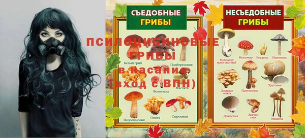 альфа пвп Гусиноозёрск
