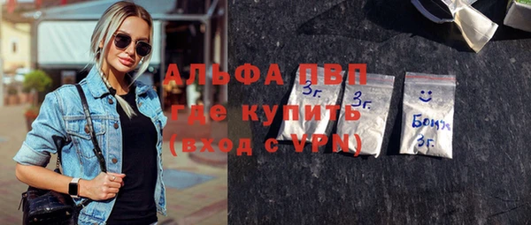 гидра Гусев