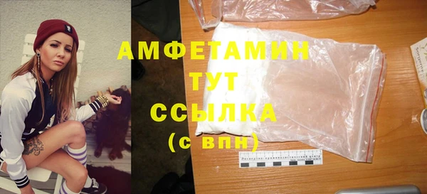 гидра Гусев